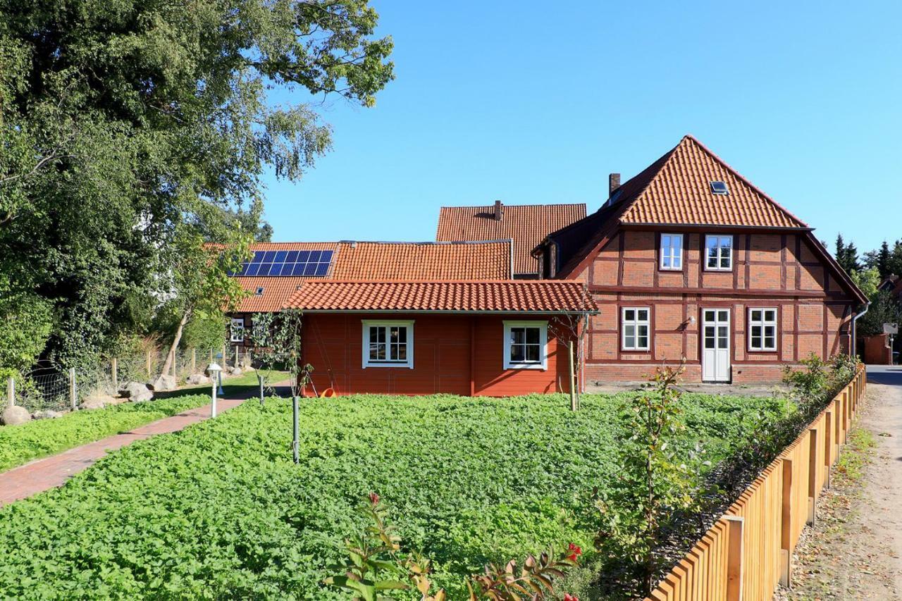Alte Schmiede Bleckede Apartment Exterior photo